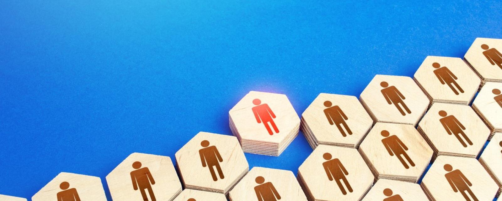 Executive employees within the employer's organisation